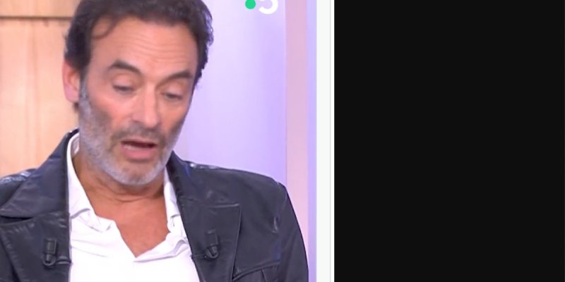 Les enfants Delon unis pour défendre Alain : Anthony dépond à Hiromi Rollin (vidéo)