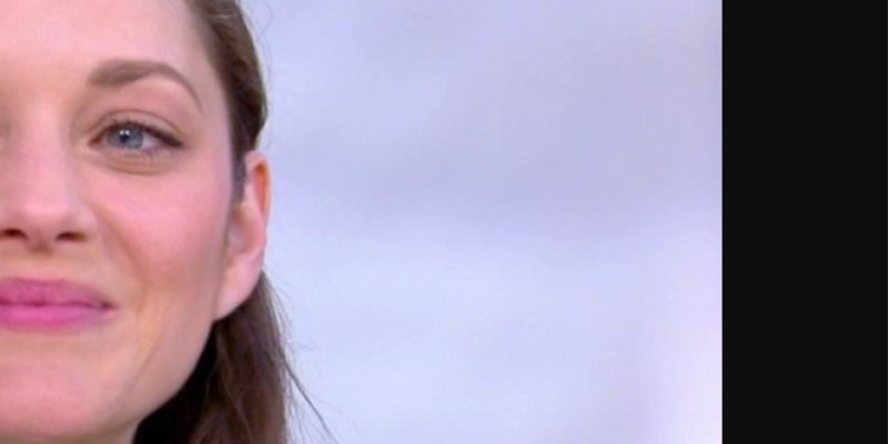 Marion Cotillard et Guillaume Canet, revirement inattendu, Leur projet avec Laeticia Hallyday abandonné