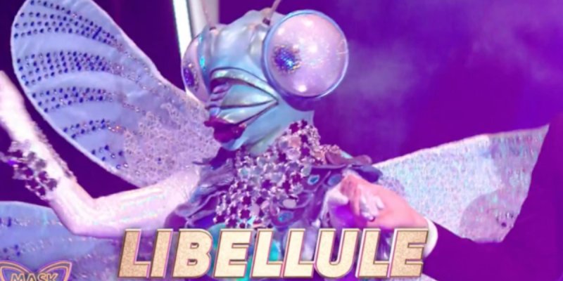 Mask Singer 2024 : Sofia Essaïdi ou Jennifer Ayache en La Libellule brouille les pistes ? 