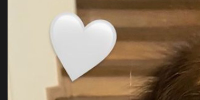 Camille Gottlieb en deuil - La fille de Stéphanie de Monaco annonce une triste nouvelle (photo)