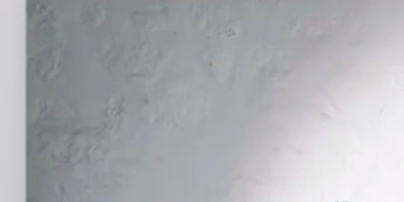 Carole Bouquet - Une rupture sans explication avec Philippe, touchante déclaration de Dimitri Rassam, son fils