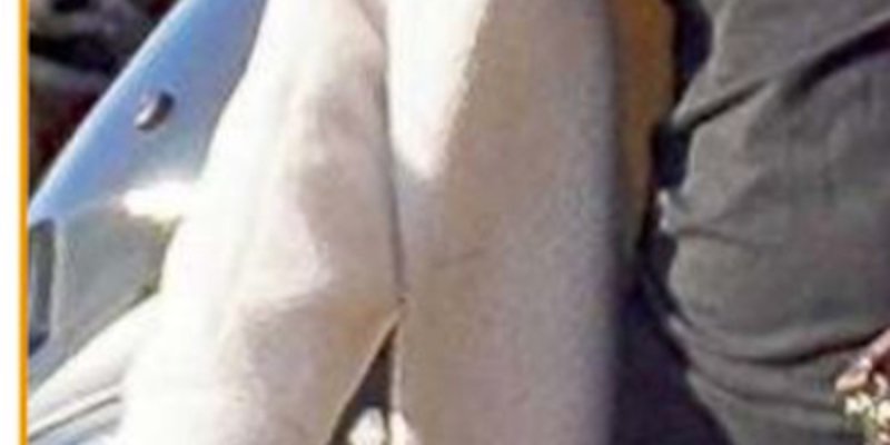 Cyril Lignac papa à 44 ans, sa belle-fille vend la mèche (photo)