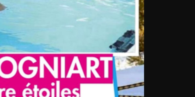 Denis Brogniart « en fuite » après un Koh-Lanta contesté, sa cachette dévoilée