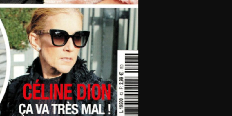 Estelle Lefébure fulmine contre Céline Dion, une « pratique » barbare dénoncée