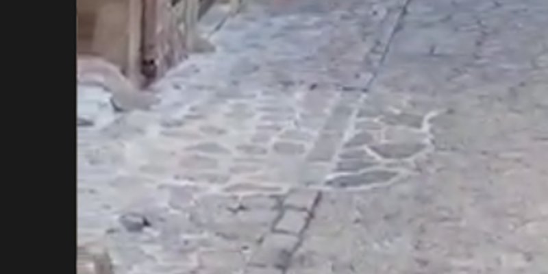 François Alu, bébé surprise avec Denitsa Ikonomova, révélation sur leur escapade romantique à Majorque