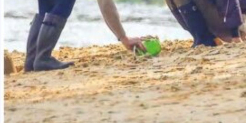 Guillaume Canet et Marion Cotillard, leur comportement au Cap Ferret surprend (photo)