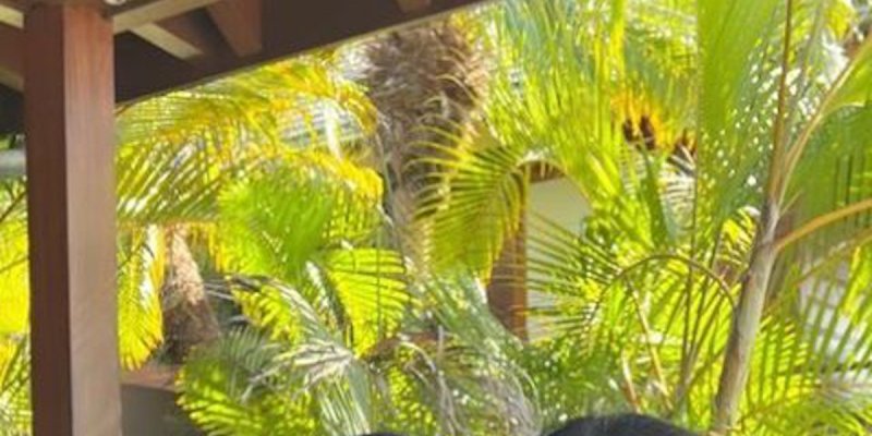 Jade Hallyday fête ses 18 ans - Elle met la main sur l'héritage de Johnny