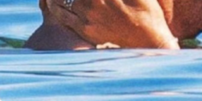 Jean-Michel Blanquer, particularité physique - ce qui attire Anna Cabana, sa fiancée (photo)