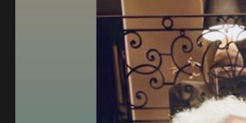 Kelly Vedovelli, mariage secret à Cannes, le clin d'œil d'un protégé de Cyril Hanouna (photo)