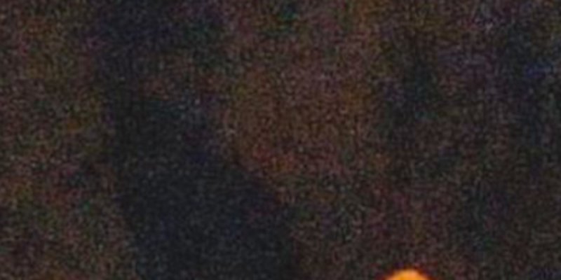 Laeticia Hallyday, son garde du corps "recadre" Jalil Lespert, geste qui ne passe pas (photo)