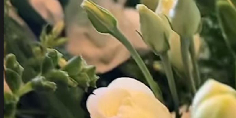 Laura Smet nargue Laeticia Hallyday « abandonnée » - Un événement très spécial célébré (photo)