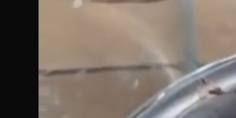 Laura Smet - Vacances avec Raphaël au Cap Ferret - une catastrophe "confirmée" (photo)