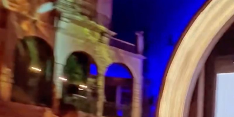 Le secret derrière l'absence de Dimitri Rassam au Bal de la Rose révélé (photo)