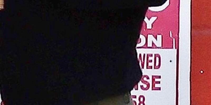 Lily-Rose Depp, grossesse surprise pour la fille de Johnny Depp, une photo fait jaser