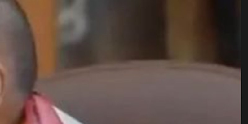 Michael Youn s'indigne : le Dalaï-Lama critiqué pour une vidéo troublante avec un enfant