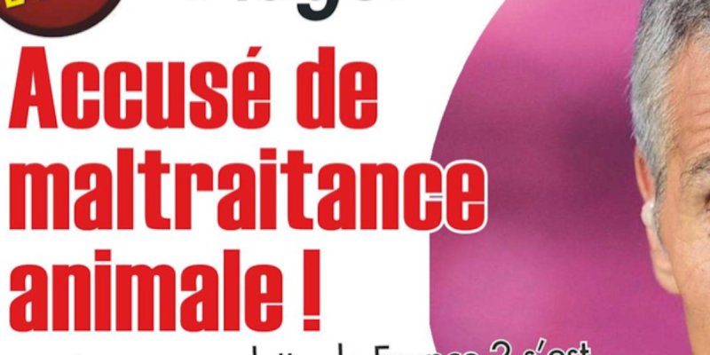 Nagui sous le choc - accusé de maltraitance animale