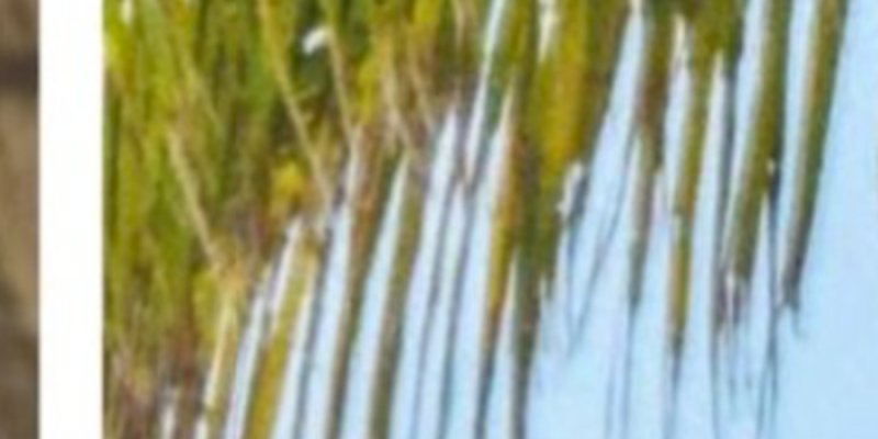 Nathalie Marquay « gênée » par Jean-Pierre Pernaut au Maldives, surprise en étrange position