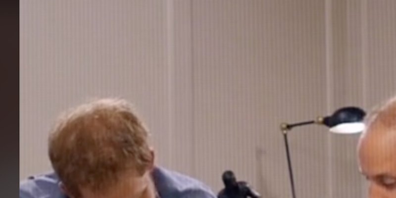 Prince Harry et Prince William, l'harmonie avant Meghan Markle : La vidéo des frères devient virale