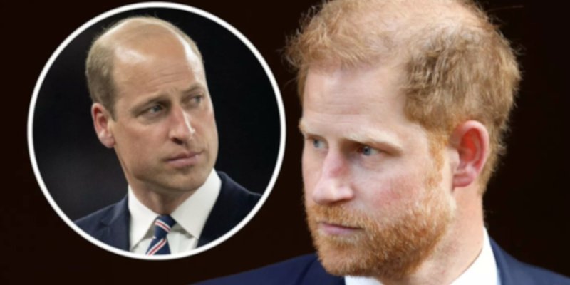 Prince Harry et William : une fracture impossible à recoller ?