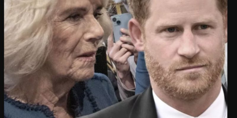 Prince Harry : son attitude envers Charles III indigne Camilla Parker-Bowles