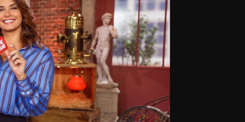Sophie Davant blessée par une comparaison avec Julia Vignali : cette déclaration dérangeante d'un acheteur d'Affaire Conclue