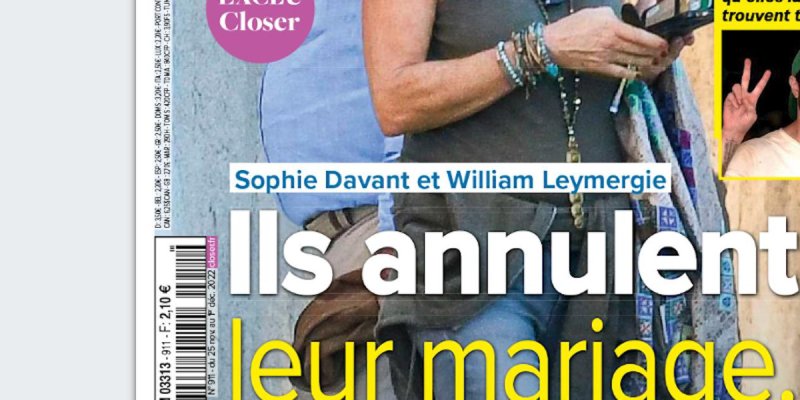 Sophie Davant et William Leymergie, leur mariage normand annulé, la raison révélée