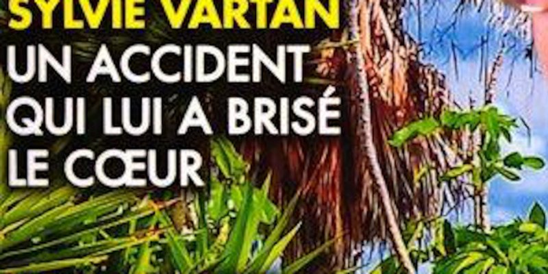 Sylvie Vartan, horrible accident de voiture - Je suis aveugle, son cri de coeur