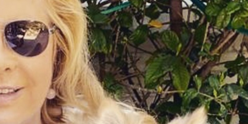 Sylvie Vartan isolement forcé à L.A - David Hallyday brise le silence