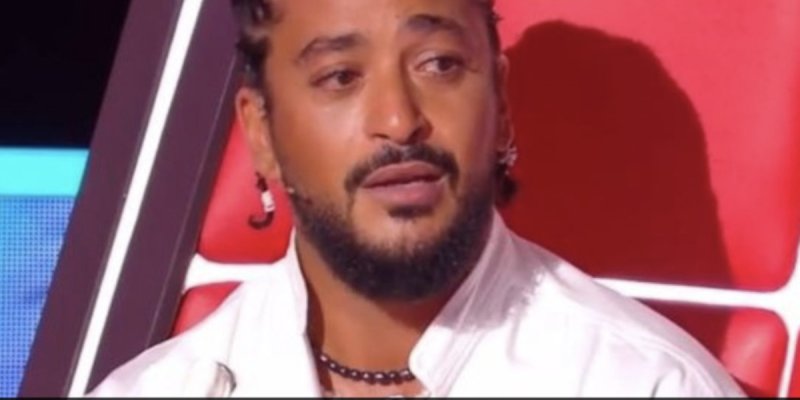 The Voice Kids : Les jurés touchent des sommes astronomiques