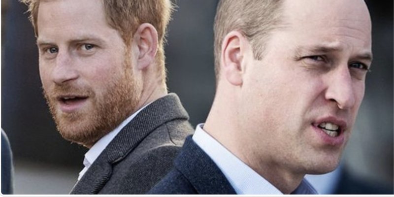 Un symbole brisé : Harry et William incapables de se rapprocher, même pour Diana