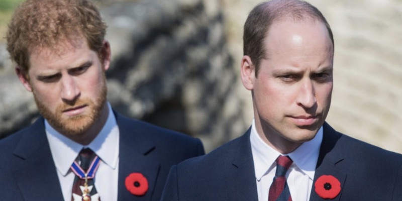 William et Harry toujours en froid : un conflit "profond et durable" malgré l'hommage à Diana