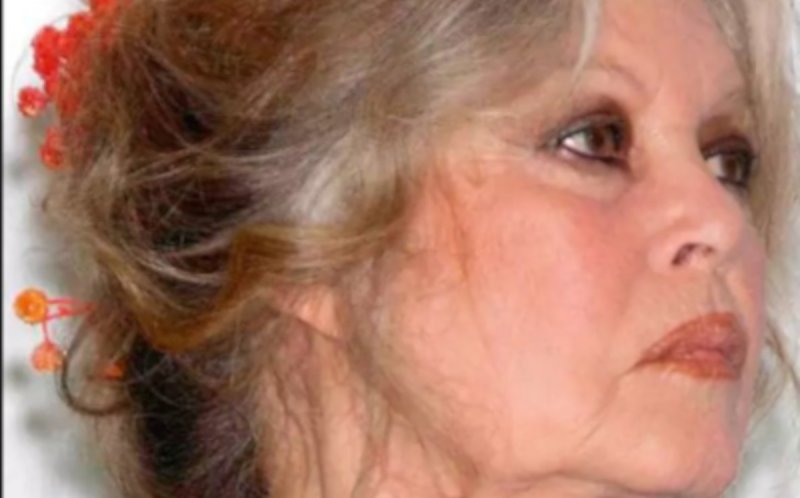 Brigitte Bardot en danger ? Des intrusions inquiétantes à La Madrague 