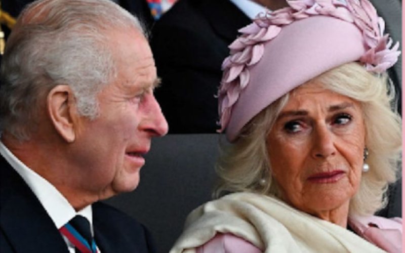 Gros affront pour Charles III et Camilla ! Le Musée Grévin expose la « Revenge Dress » de Lady Diana ! 