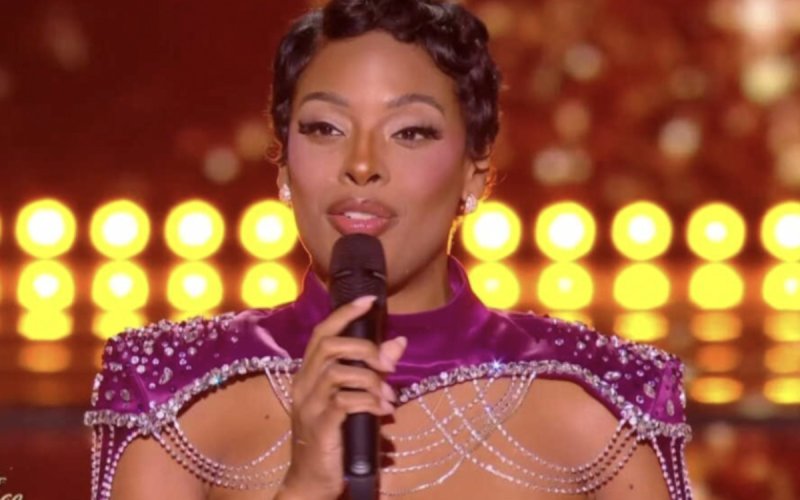 Angélique Angarni-Filopon, pourquoi elle a renoncé à son ancien travail ?