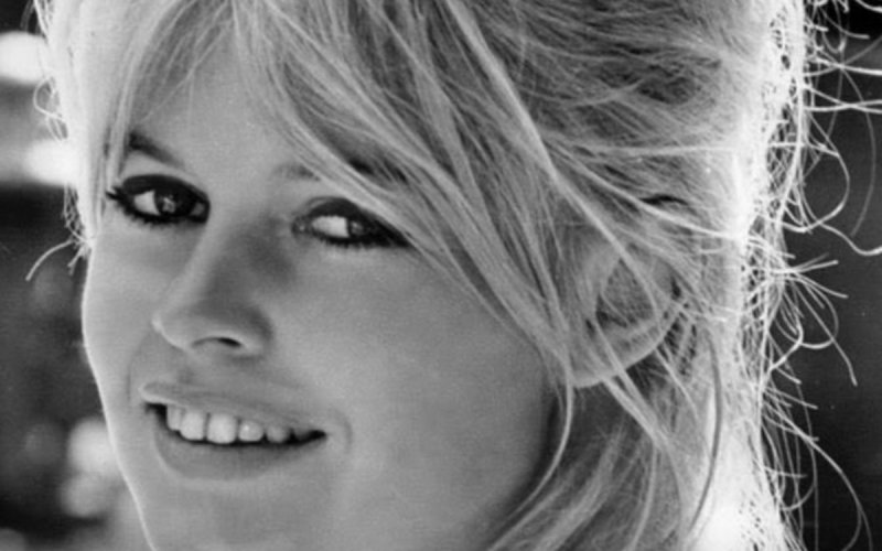 Brigitte Bardot : ses dernières volontés