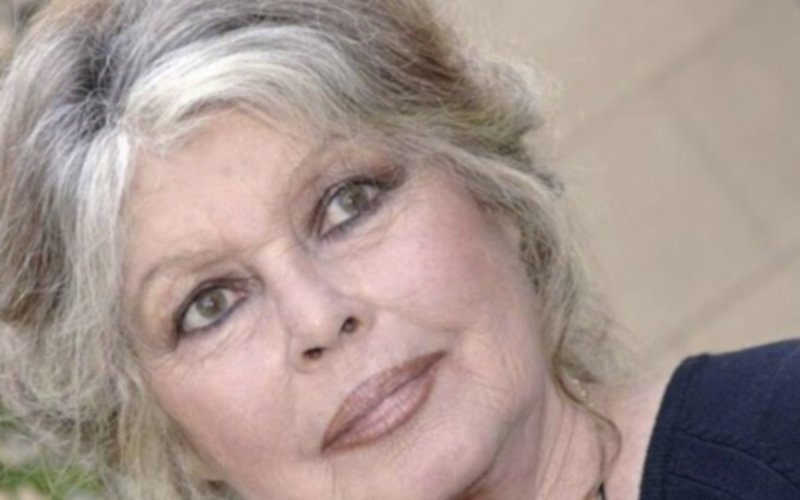 Brigitte Bardot : l'hommage d'une star américaine vire au fiasco 