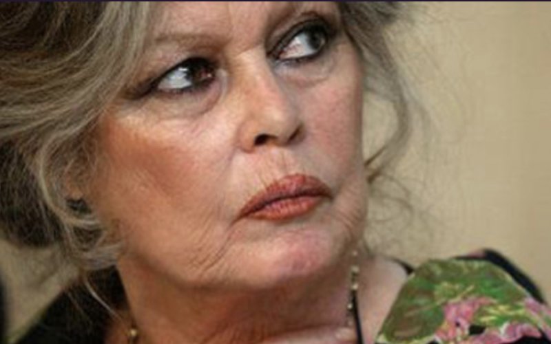 Brigitte Bardot : les confidences déchirantes de son mari sur ses derniers instants 