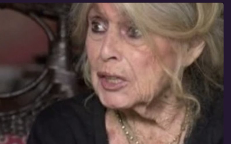 Brigitte Bardot : l'ancien amour de l'actrice donne des nouvelles « rassurantes » ! « Elle va mieux après un moment difficile »