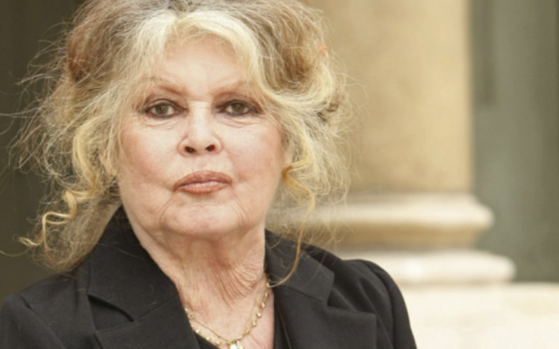 Brigitte Bardot : Un inconnu s'introduit et dort « deux ou trois fois de suite » à La Madrague 