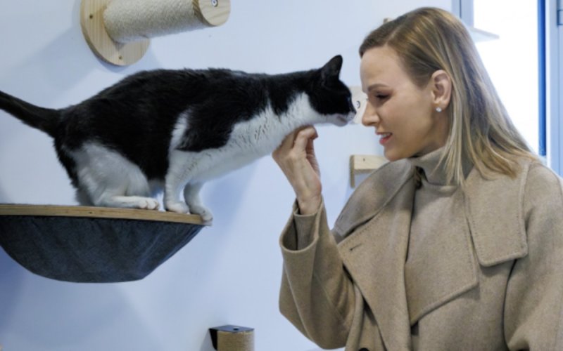 Charlène de Monaco bouleverse les internautes avec un chat à la SPA