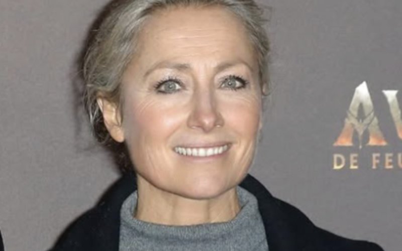 Le fils d'Anne-Sophie Lapix affole les réseaux : sa ressemblance avec David Hallyday intrigue