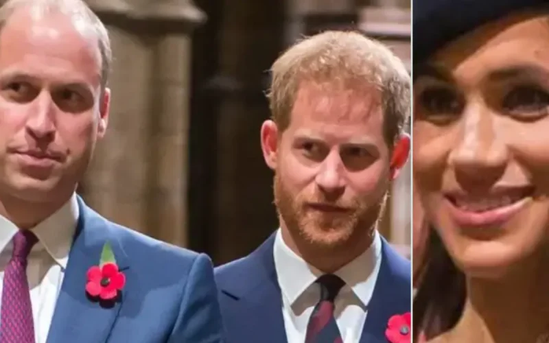 Harry et Meghan : leur business dérange… et William refuse catégoriquement