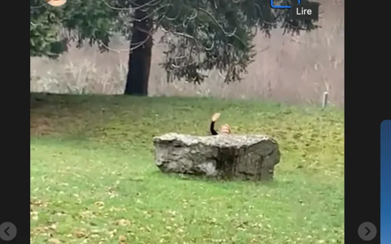« Je ne tiens plus ! », une envie pressante pour Alexandra Lamy sur le chemin de Compostelle