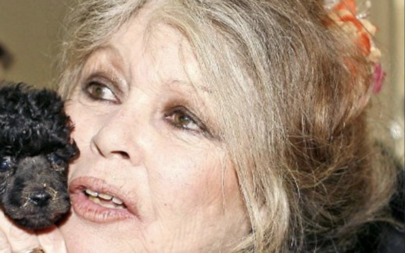 Laeticia Hallyday : son vibrant hommage à Brigitte Bardot depuis la Thaïlande 