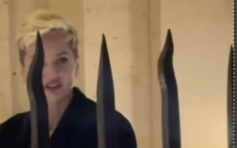 “Magnifique” : le nouveau look d'Adriana Karembeu enflamme la Toile