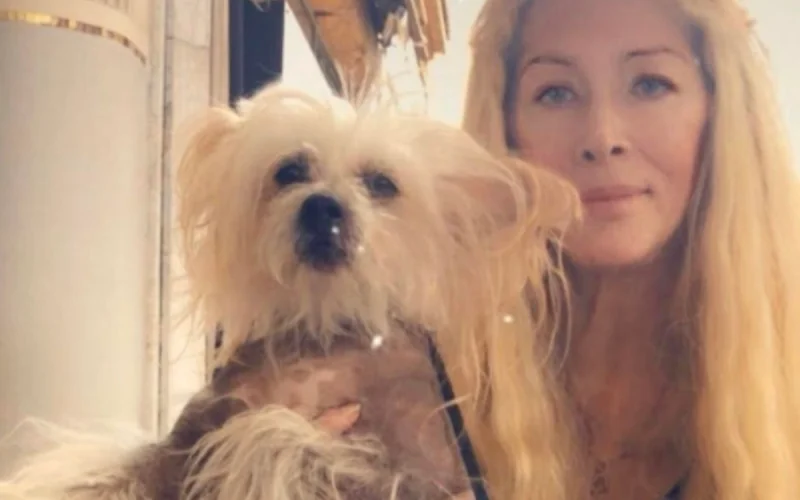 Loana, l'ultime rupture : pourquoi l'entourage a dû créer une cagnotte d'urgence pour Titi !