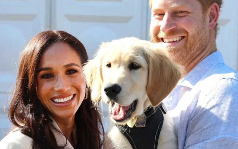 Meghan Markle, 44 ans, pourquoi elle apparaît de plus en plus sans Harry