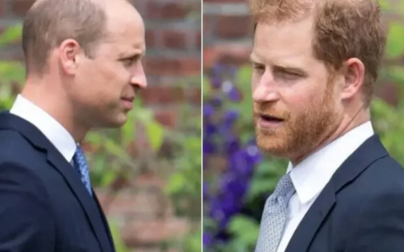 Prince Harry : son attitude en Australie crée une nouvelle fracture avec William et Kate