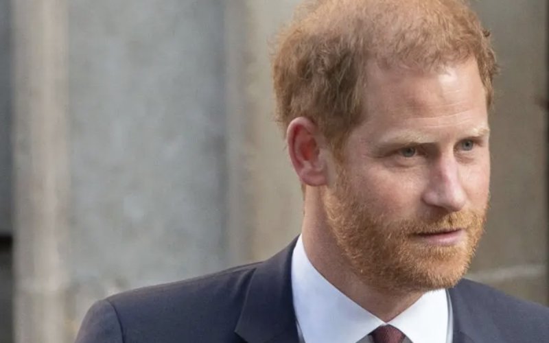 Prince Harry : son coup de sang face à ses croquis d'audience le représentant chauve