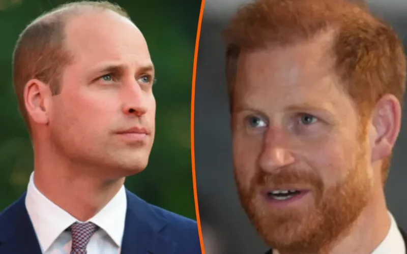 Prince Harry et Meghan Markle, le scandale de l'exclusion : pourquoi William les juge encore « toxiques » ?